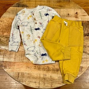 18 Months Carter’s Outfit